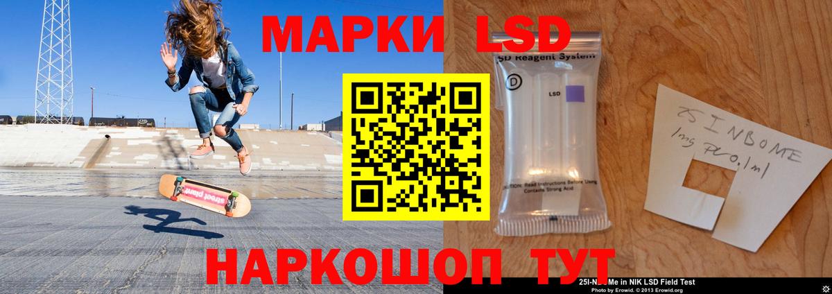Галлюциногенные грибы Кизилюрт