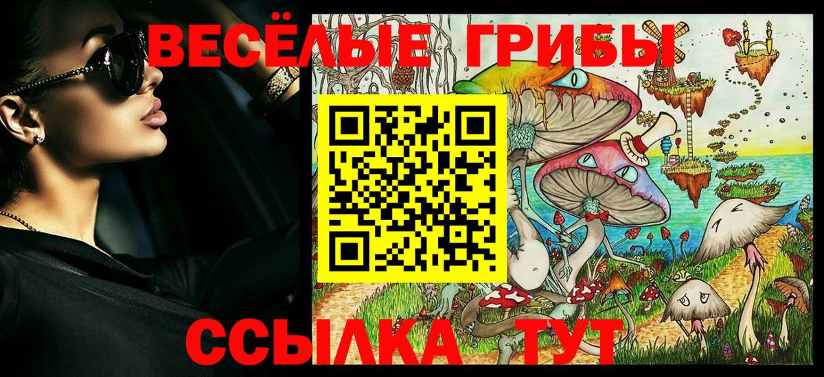 Галлюциногенные грибы Magic Shrooms  цены наркотик  Кизилюрт  Вход с VPN 