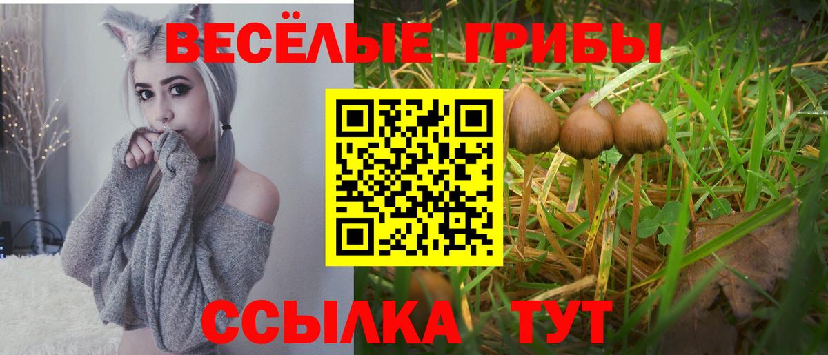 КОКАИН  Вход с VPN  Меф МЯУ МЯУ кристаллы  Кизилюрт  Каннабис  Каннабис  Гашиш 