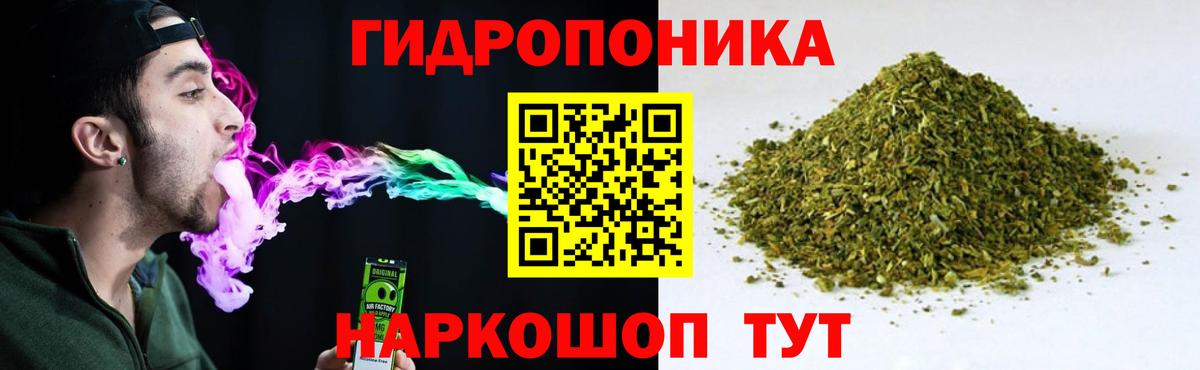 Каннабис OG Kush  Шишки марихуана конопля  Бошки Шишки LSD WEED  Шишки марихуана VHQ  Кизилюрт  Вход с VPN 